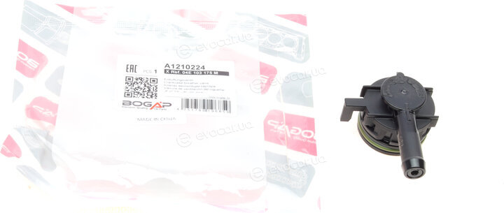 Bogap A1210224