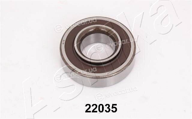 Ashika 44-22035