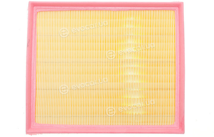 Solgy 103127