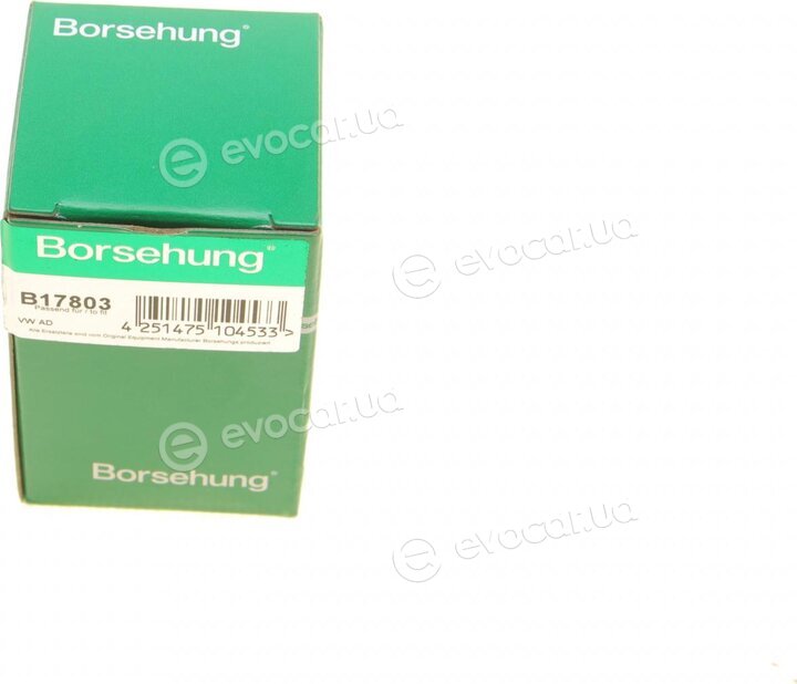 Borsehung B17803