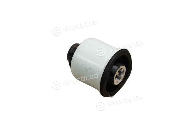Sasic 2604006