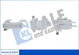 Kale 354375