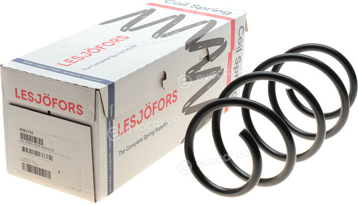 Lesjofors 4085730