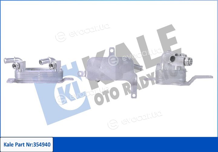 Kale 354940