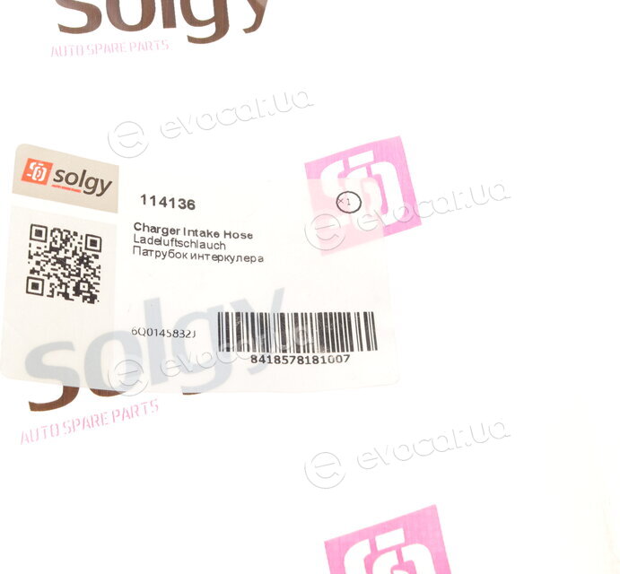 Solgy 114136