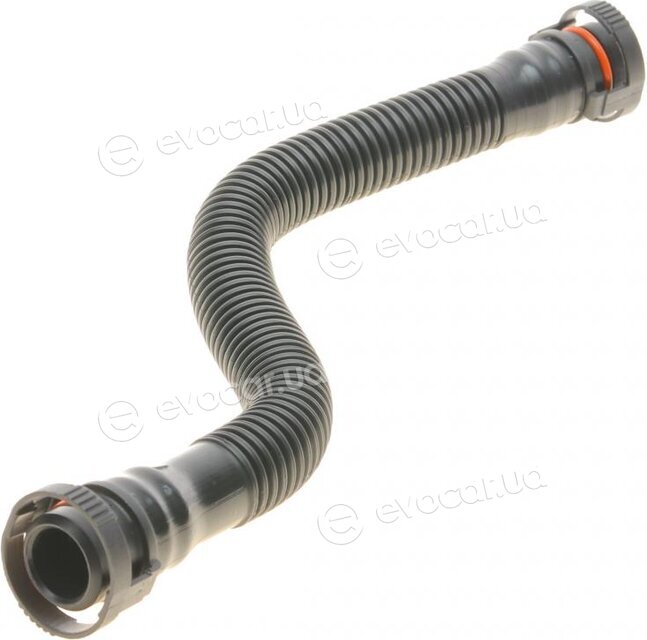 Bogap B1210160