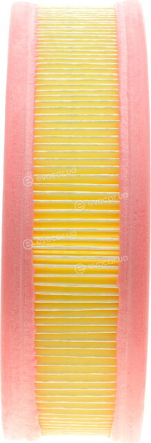 Solgy 103091