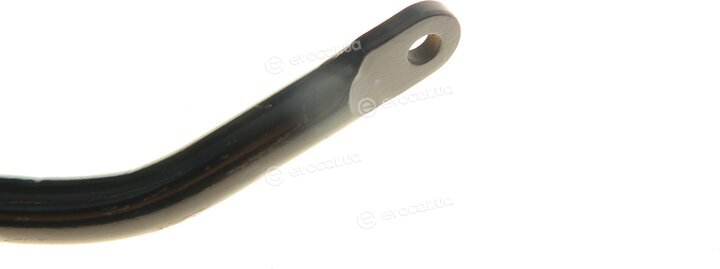 Borsehung B12619