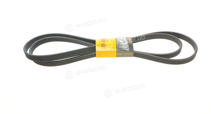 Continental 7DPK2880