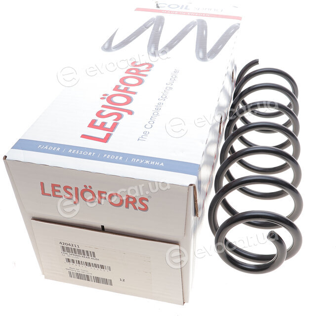 Lesjofors 4204211