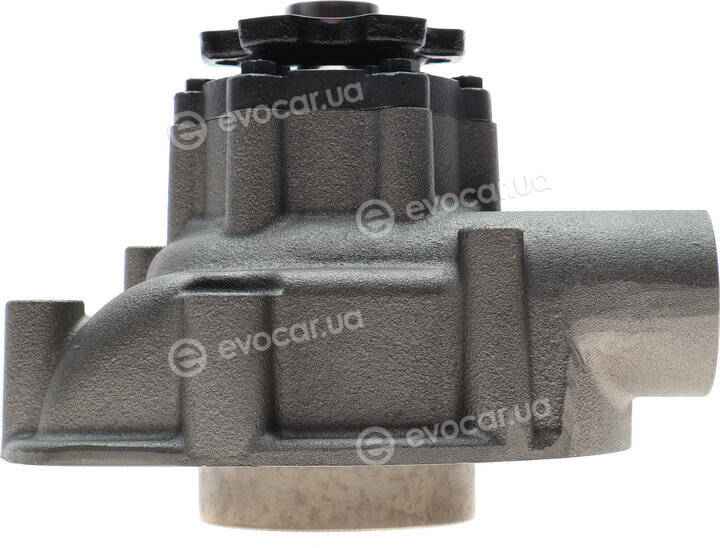 Hepu P1464