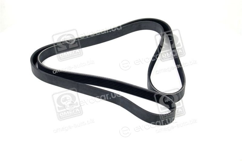 SKF VKMV 6PK1795