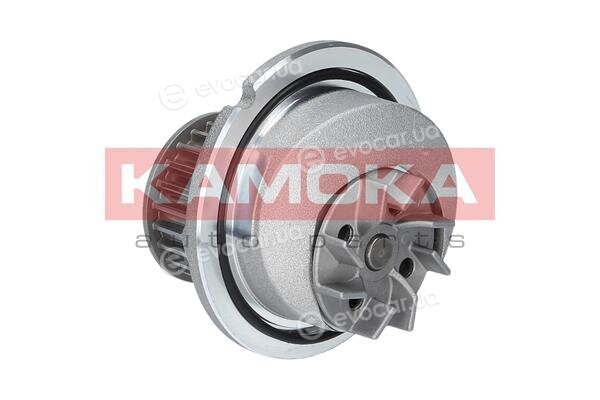 Kamoka T0231