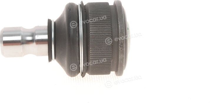 Solgy 203146