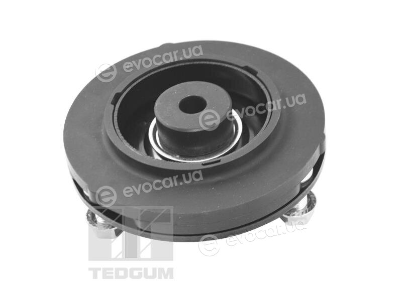 Tedgum TED47590