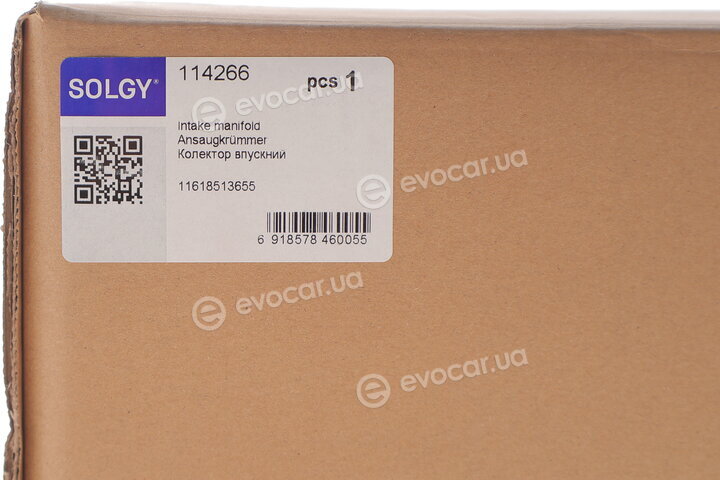 Solgy 114266