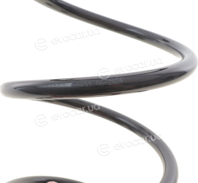 Solgy 212137