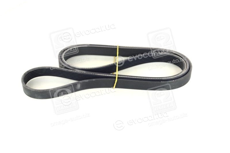Dayco 6PK1744