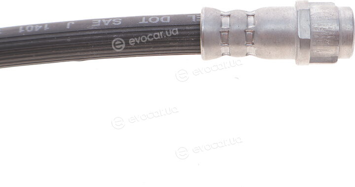 Solgy 210017