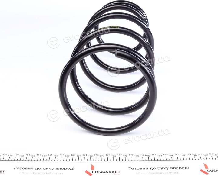 Lesjofors 4062035