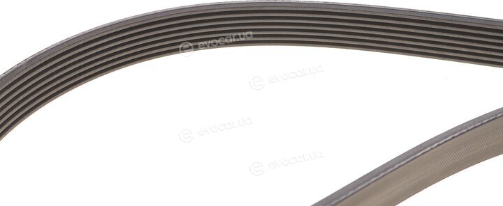 Continental 7PK2035K1