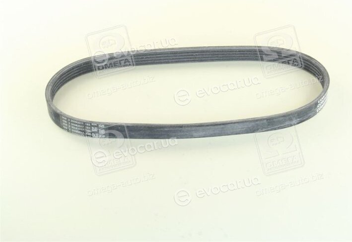 Continental 5PK694 ELAST