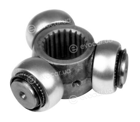 Coram CC024