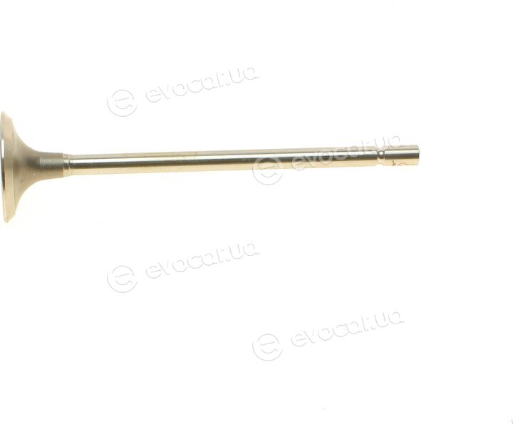 AMP PREN021-A-0-0