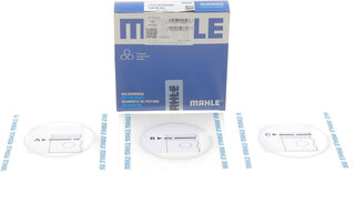 Mahle 029 55 N0
