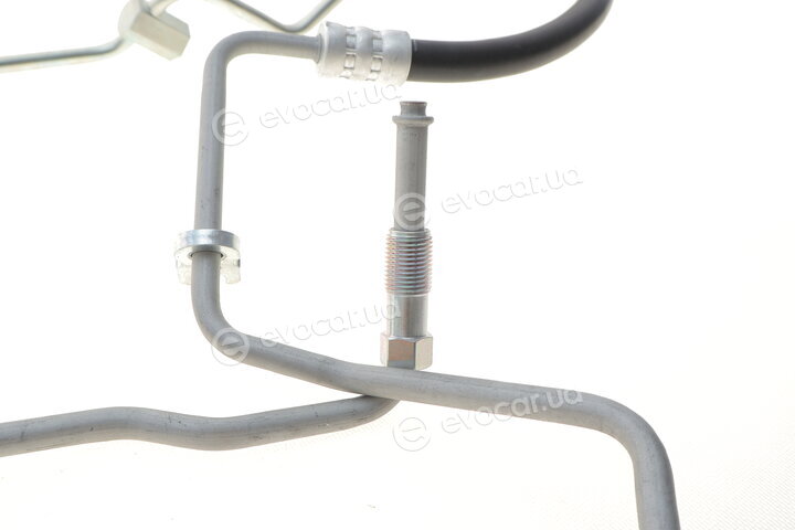 AIC 57674