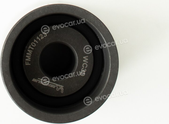 Michelin FM010649