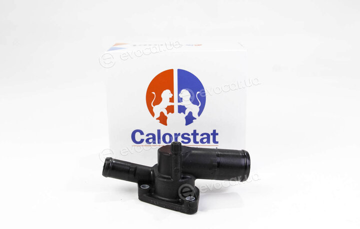 Vernet / Calorstat TH6126.89J