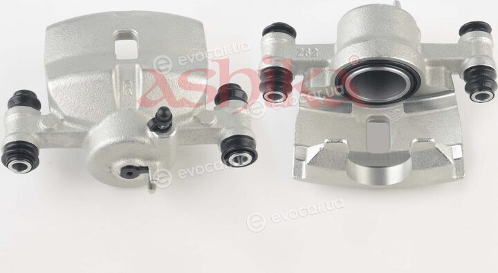 Ashika CAL039RJM