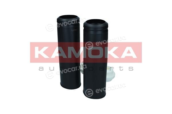 Kamoka 2019209