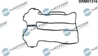 Dr. Motor DRM01316
