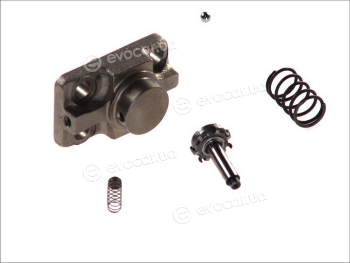 Bosch F 01M 100 869