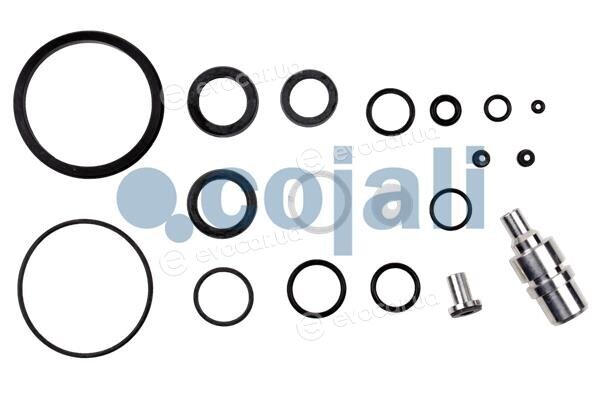 Cojali 6034009