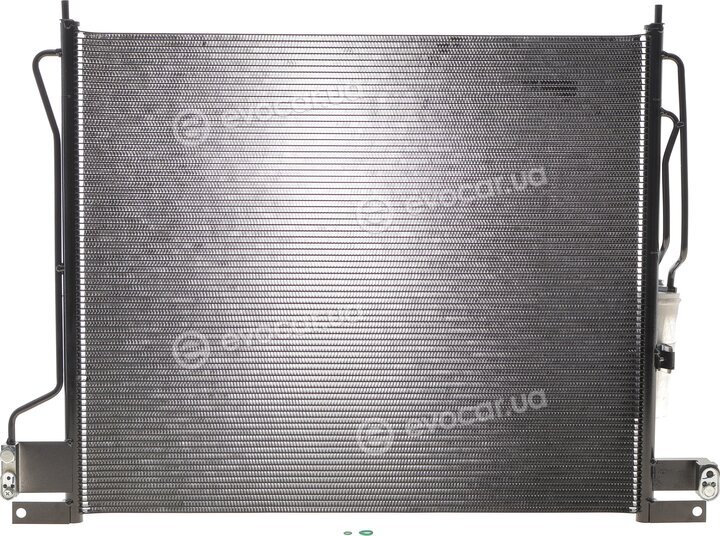 NRF 350561