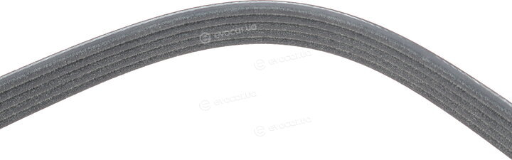 Dayco 5PK1310S