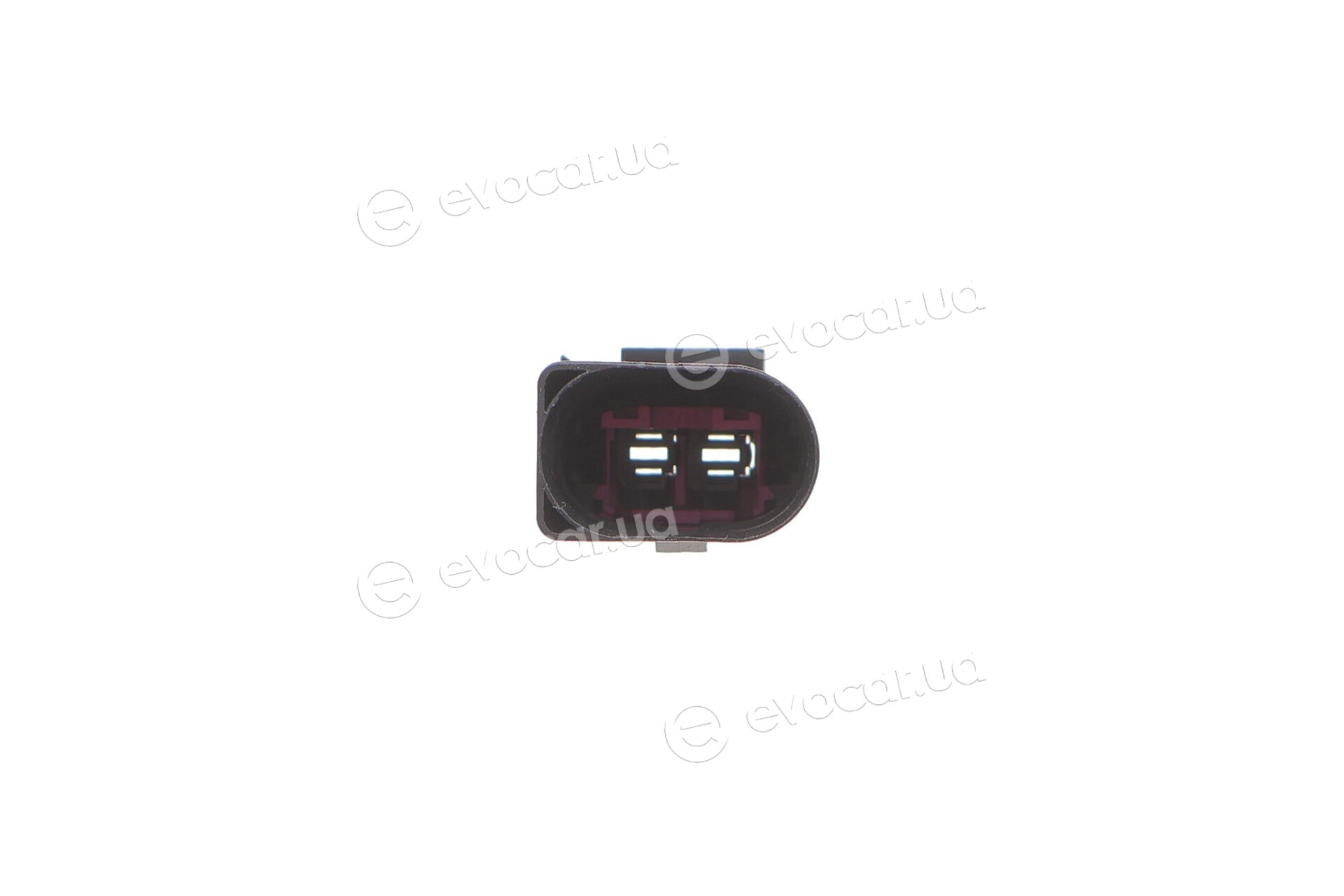 Solgy 412049