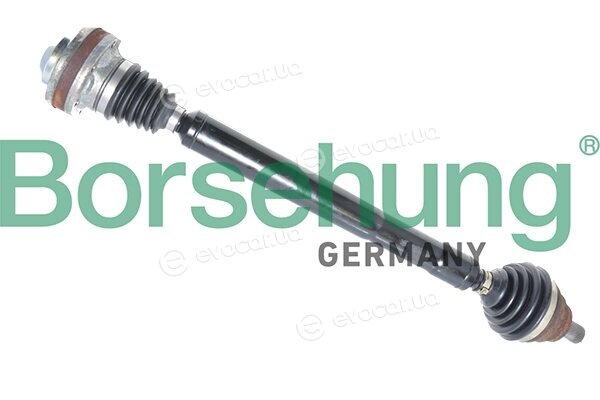 Borsehung B18360