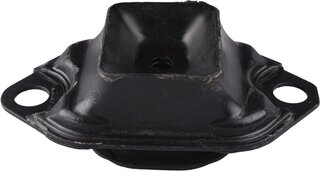 Tedgum 55030