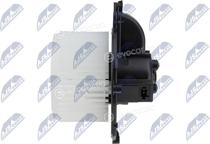 NTY EWN-CT-002