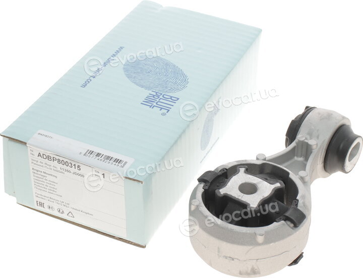 Blue Print ADBP800315