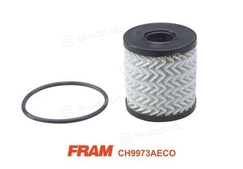 Fram CH9973AECO