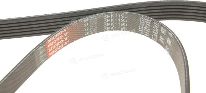 Gates K066PK1195