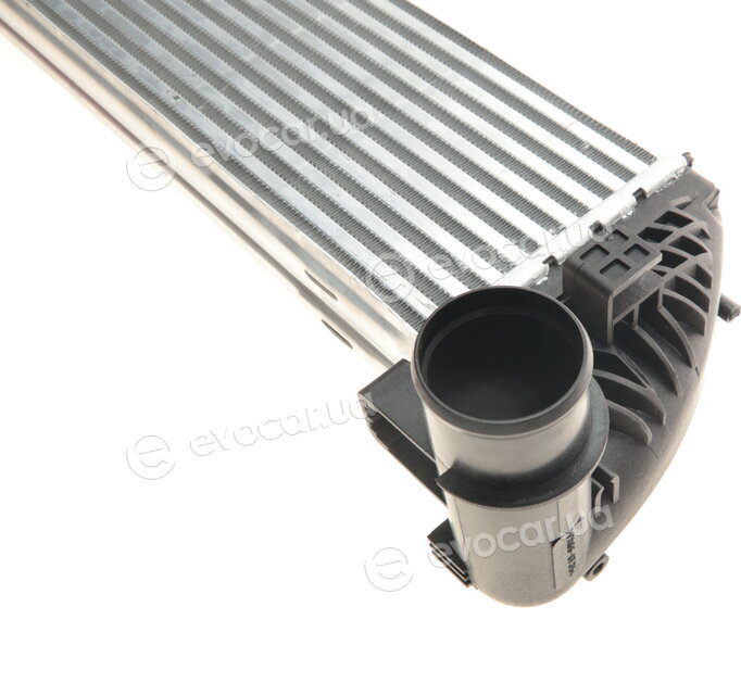 Van Wezel 43004397