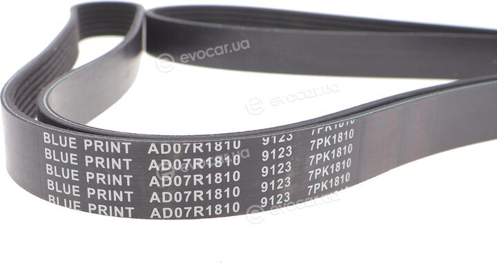 Blue Print AD07R1810