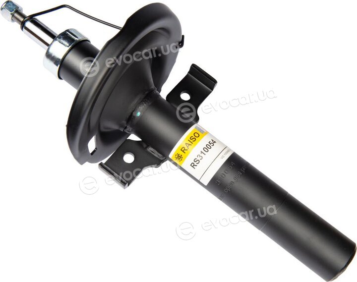 Raiso RS310054
