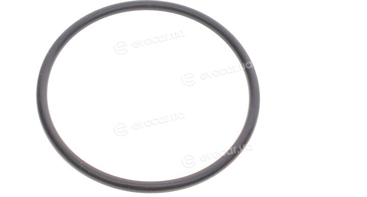 Solgy 101064